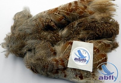 Skóra Kuropatwy (Partridge Grey Skin) 51