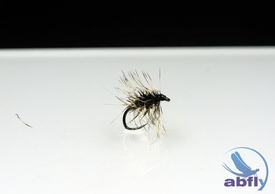 Sucha Mucha Jeżyk S72