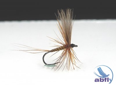 Sucha Mucha Honey Quill S110