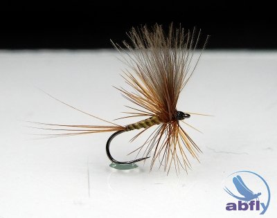 Sucha Mucha Olive Quill S113