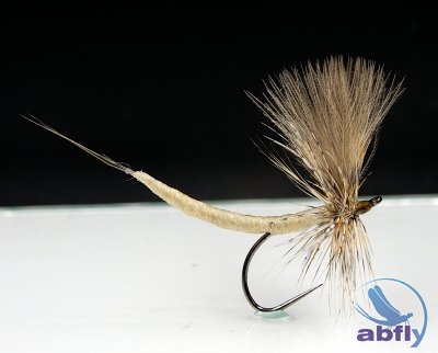 SUCHA MUCHA - JĘTKA S107